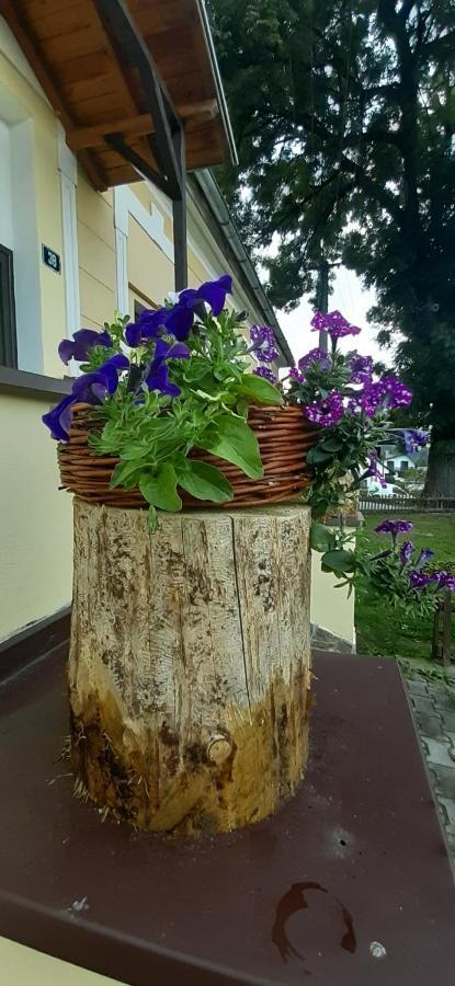 Penzion U Draci Skaly Hotel Svojse Kültér fotó