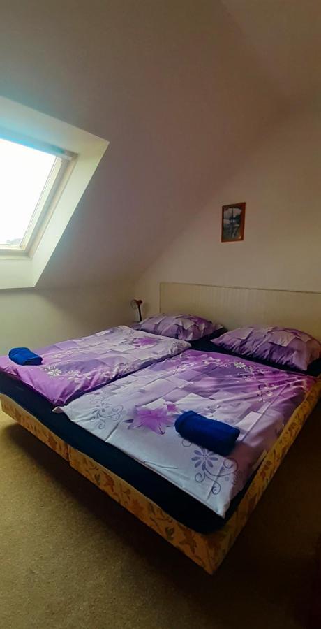 Penzion U Draci Skaly Hotel Svojse Kültér fotó